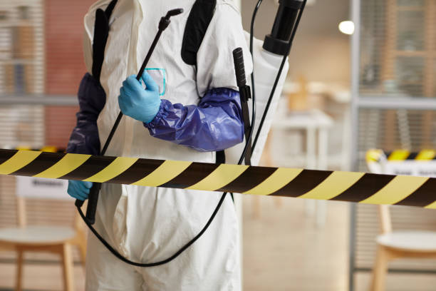 Professional Sewage Cleanup technician working in North Benton, OH